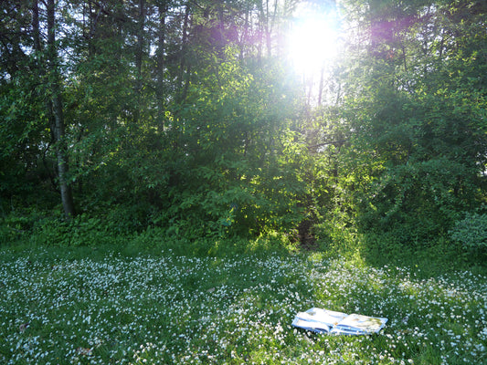 A Mental Health Awareness Month Reflection